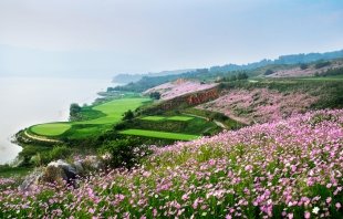 [동방항공][화 출발] 쿤밍 춘성 골프 리조트 5박6일